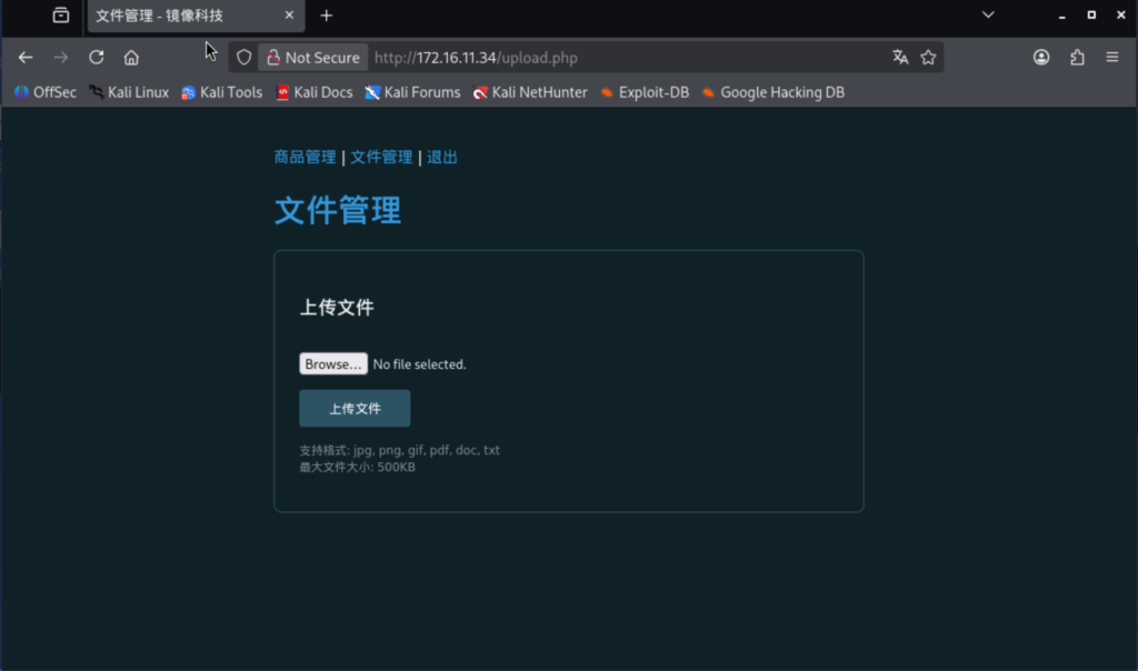讨厌的靶机 “镜”flag获取🙄